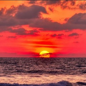 Meet your Posher, Ariana